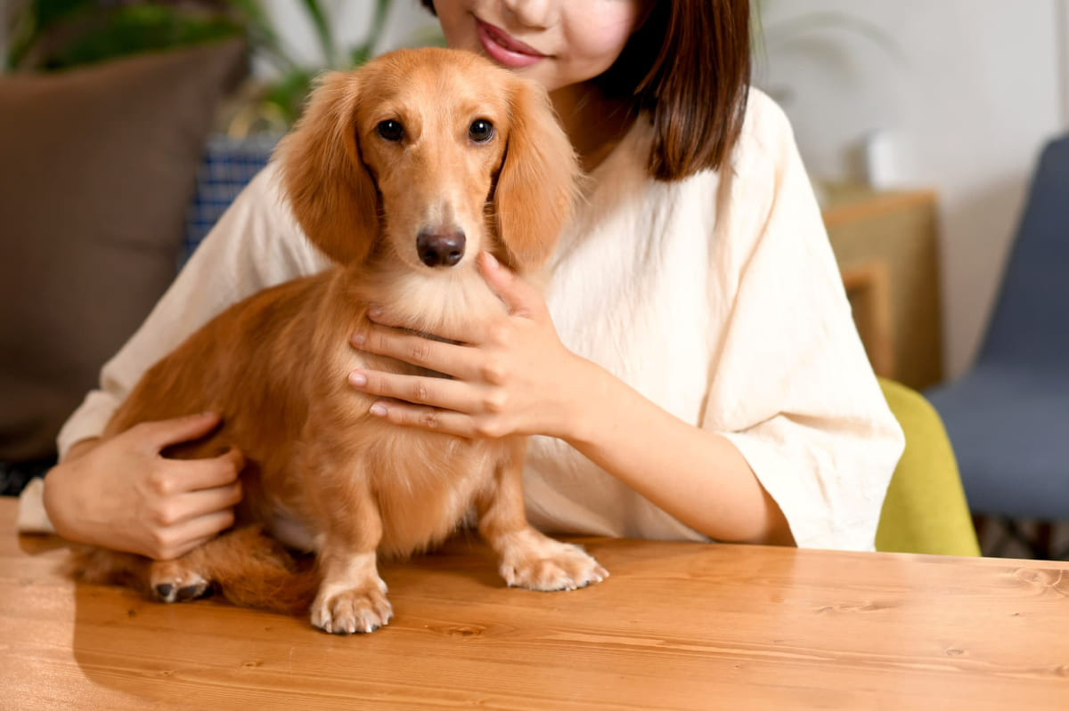 ペットの体調をチェックする